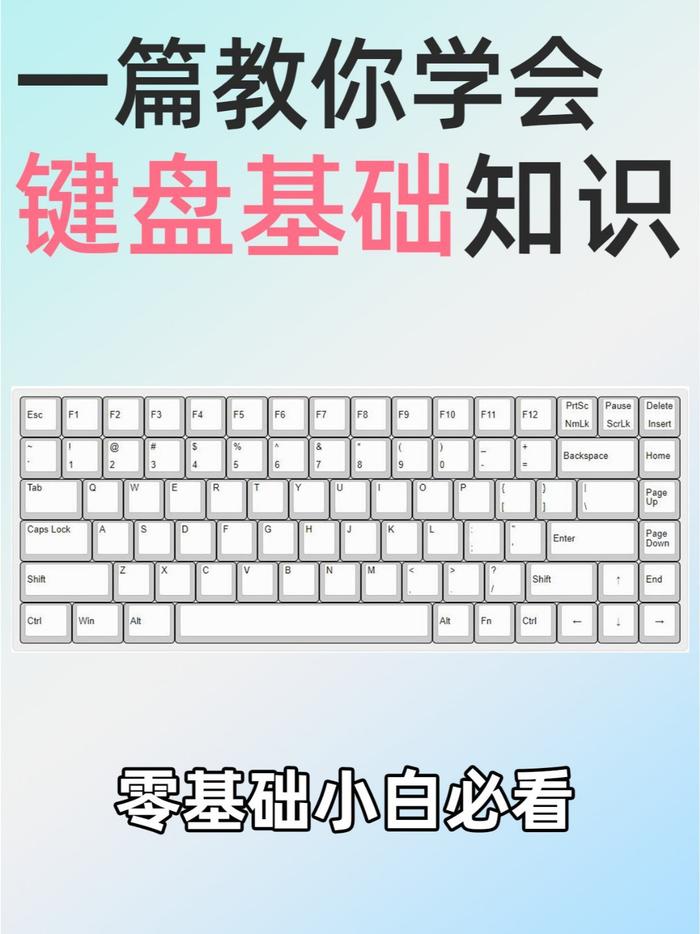 电脑入门知识技巧教程