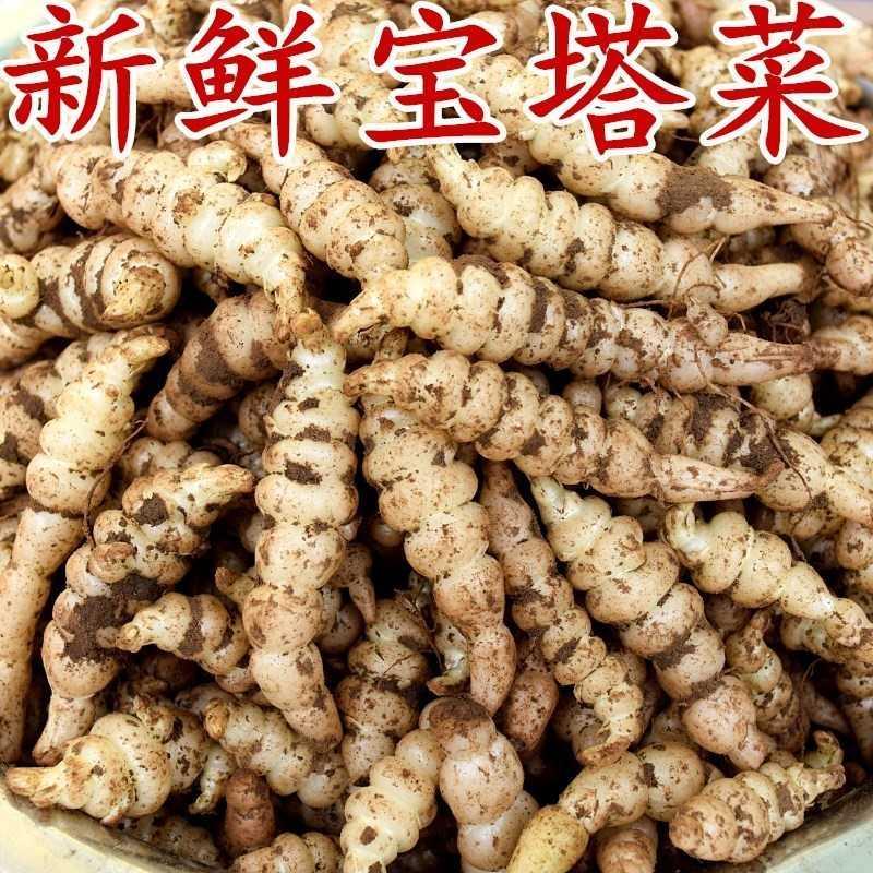 地环是什么菜